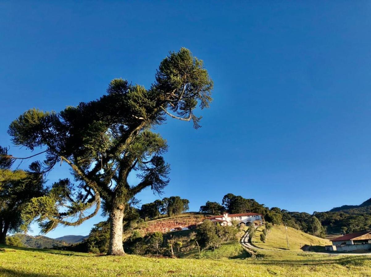 Pousada Fazenda Da Invernada Urubici Exterior photo